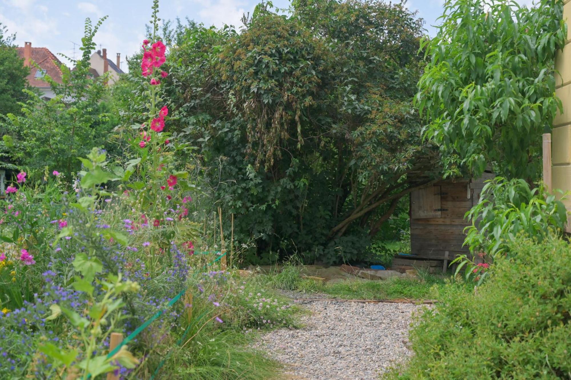 Combles et Vous, Duplex T6 Colmar, Famille, ALL INCLUSIVE, Jardin&Parking vélos Exterior foto