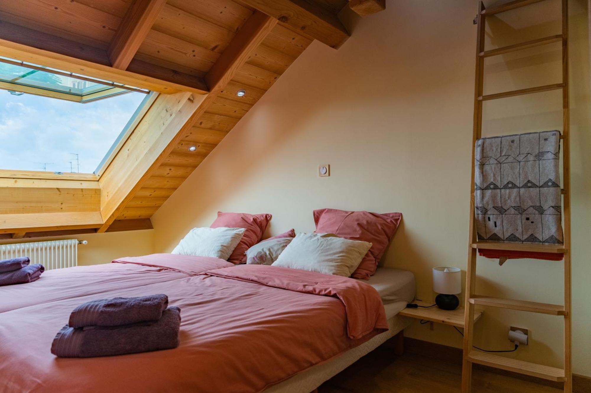 Combles et Vous, Duplex T6 Colmar, Famille, ALL INCLUSIVE, Jardin&Parking vélos Exterior foto